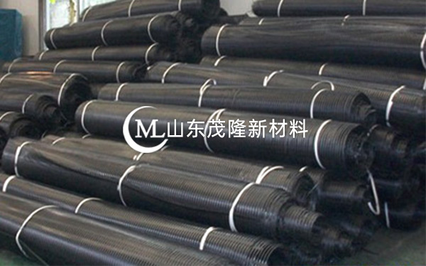 單向拉伸塑料土工格柵  第3張