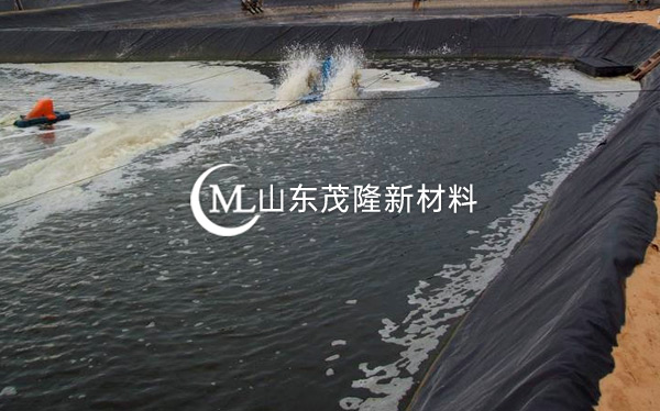 人工湖土工膜  第2張