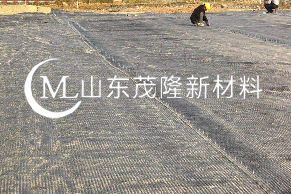 《畜牧養殖項目》土工格柵施工