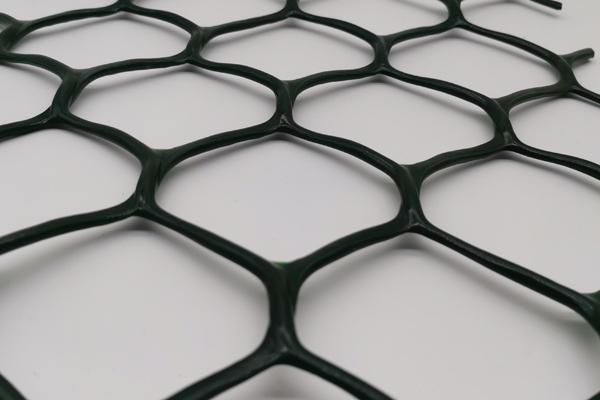 塑料土工格柵和塑料網的區別  第2張